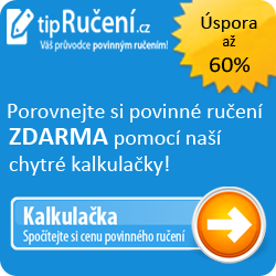 Porovnani povinne ruceni